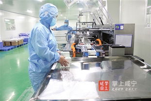 稳健全棉 远销欧洲